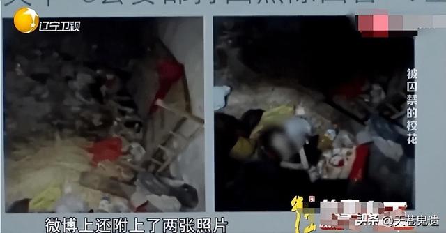 湖北24歲?；ū宦闵砬艚c蛇同住場面污穢，幕后黑手曝光引眾怒