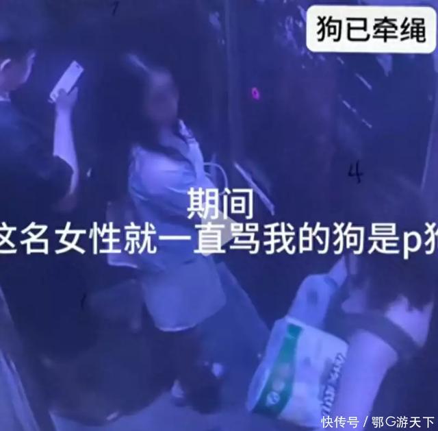 女子因狗被扯衣露胸部后續(xù)：無法忍受侮辱，吞安眠藥自殺