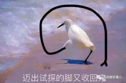 這些妹子的逆天大長(zhǎng)腿…我滴媽，我P都不敢P這么長(zhǎng)