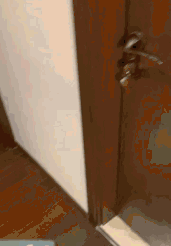 搞笑GIF：可性感可清純的美女，愛了愛了