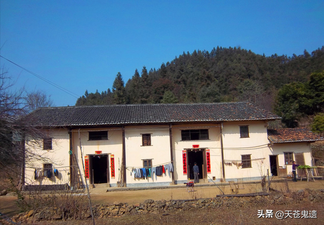 湖北24歲?；ū宦闵砬艚?，與蛇同住場面污穢，幕后黑手曝光引眾怒