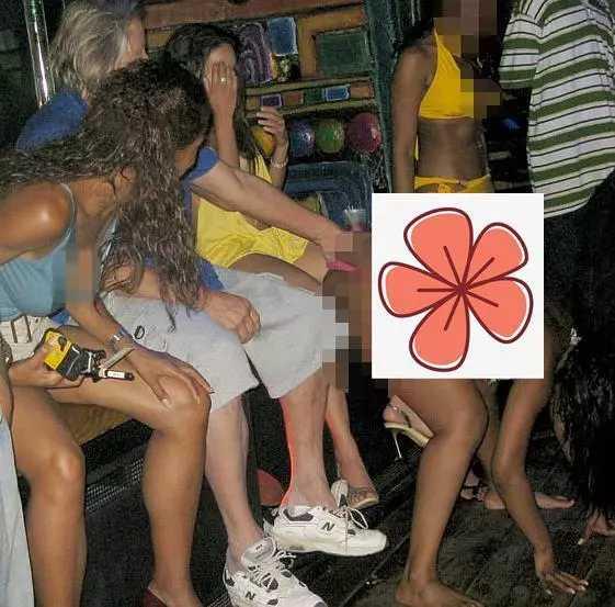 加拿大億萬富豪海島派對：泳裝少女任人擺弄，吃排泄物癖好被滿足