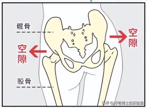 為啥女生的屁股兩側(cè)，會(huì)凹進(jìn)去？