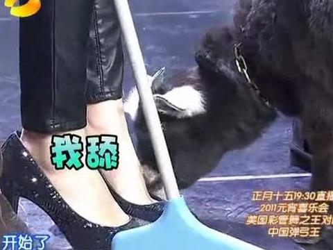 楊超越猛聞襪子稱(chēng)“仙女的腳不會(huì)臭” 細(xì)挖女明星的“腳臭秘聞”