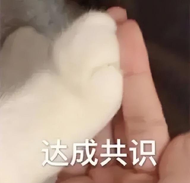 為啥女生大腿上綁根帶子，看起來會(huì)很性感