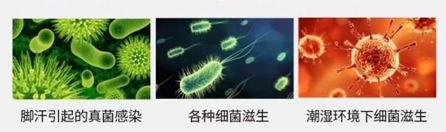 楊超越猛聞襪子稱(chēng)“仙女的腳不會(huì)臭” 細(xì)挖女明星的“腳臭秘聞”