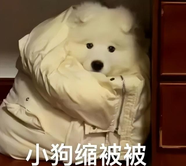 孫千這卡戴珊巨胯生圖是什么鬼？！屁股和腰都快分家了吧…