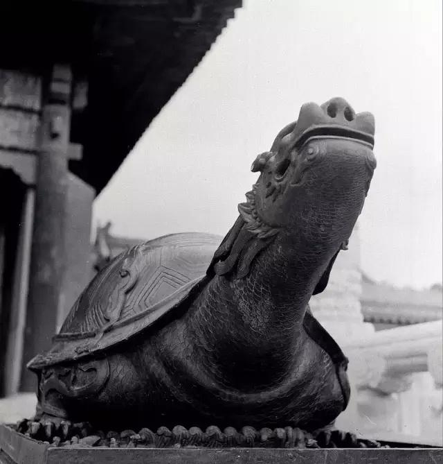 日軍日記：在徐州建立了慰安所，不聽話的女人就割掉其乳房!