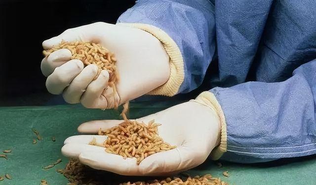 江蘇出名的6道“怪菜”，本地人贊不絕口，外地人直呼下不去嘴
