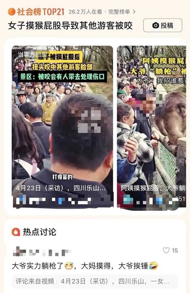 女子摸猴屁股致大爺“躺槍”被咬？峨眉山景區(qū)回應(yīng)：近期無(wú)此事