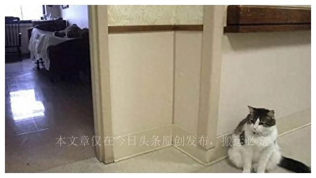 一些荒誕的事實(shí)：韓國(guó)女人的“露乳裝”，陰道長(zhǎng)了一顆“牙”