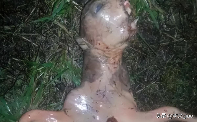 不堪入目老照片：男人摟著女子的胸一頓摸，男人抱著女人一頓熱吻