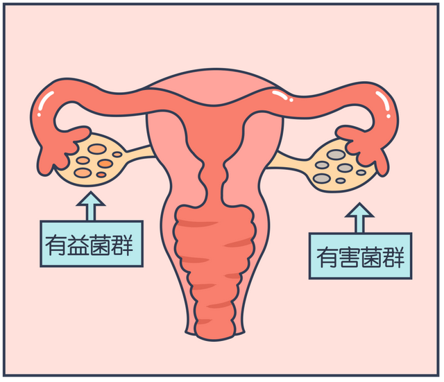 女性須知：關于陰道，建議你了解4個正經冷知識，別再不好意思了