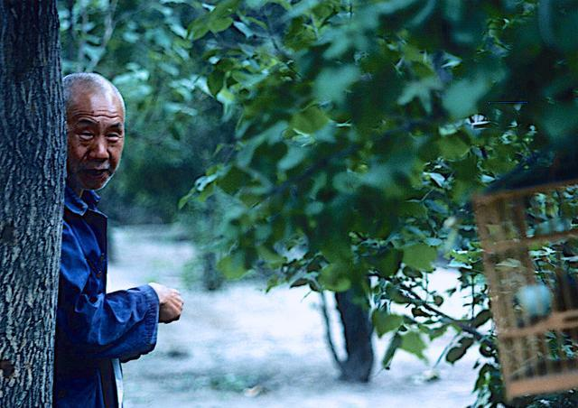 日軍獸行照片：當著父親的面玷污他女兒，臨走還殘忍割下妻子乳房