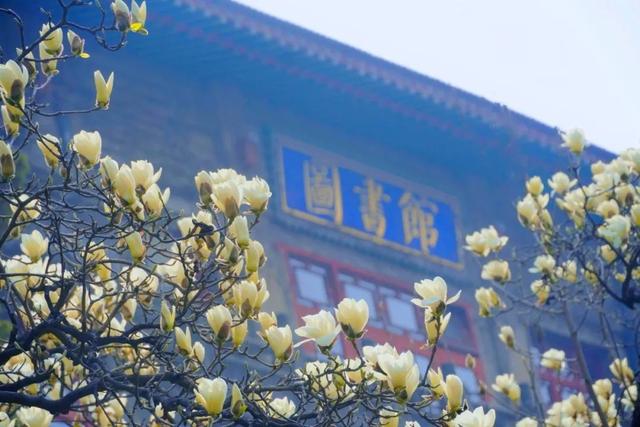 神仙顏值！陜西師范大學(xué)“最美?；ā斌@艷亮相，高清大圖最新曝光！