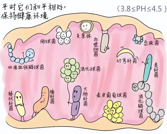 女性須知：關于陰道，建議你了解4個正經冷知識，別再不好意思了