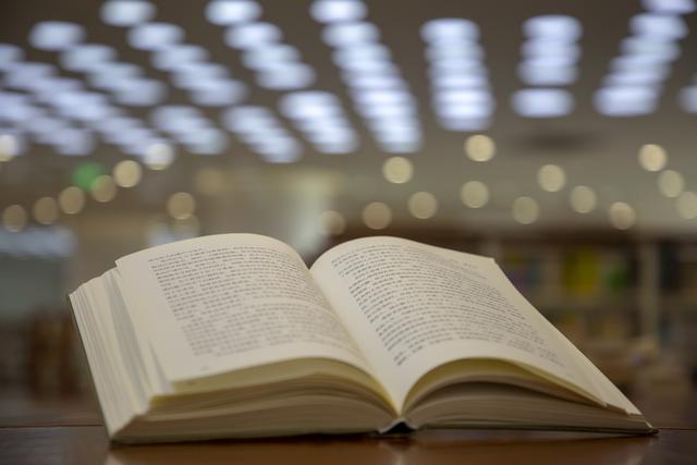小說：十年之后，各方反應(yīng)，暗流涌動！