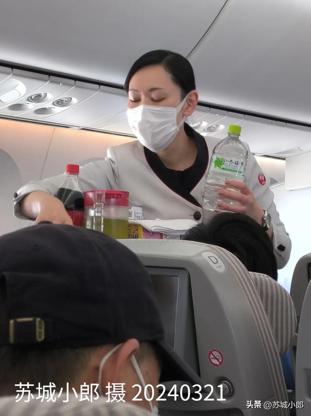 日本航空的美女空乘小姐姐:從上海虹橋機場坐日航