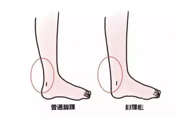 微胖的女生，學(xué)會怎樣的穿搭，才能既顯瘦又提氣質(zhì)？