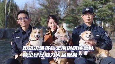 “請叫我福sir！”全國首只“柯警官”最新訓(xùn)練場面大公開