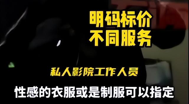 記者暗訪私人影院, 毫無底線！美女助教, 互動(dòng)觀影, 親嘴摸胸都可以