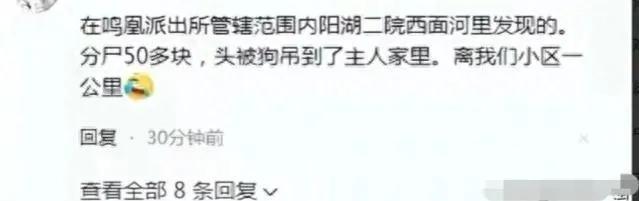 太慘啦！江蘇發(fā)生重大兇殺案：女子被先殺后蒸再拋，頭顱被狗叼走