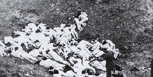 30張屈辱照片：德國女犯一絲不掛被槍決，被拍賣的大胸女人