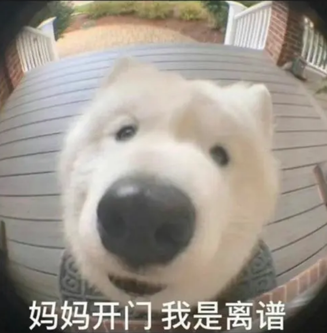 女子被AI脫衣，裸照全網(wǎng)瘋傳，趕緊封了吧