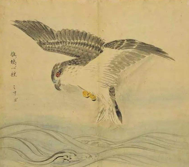 在古代如何正確的夸女性？什么“美女”、“女神”都太low了