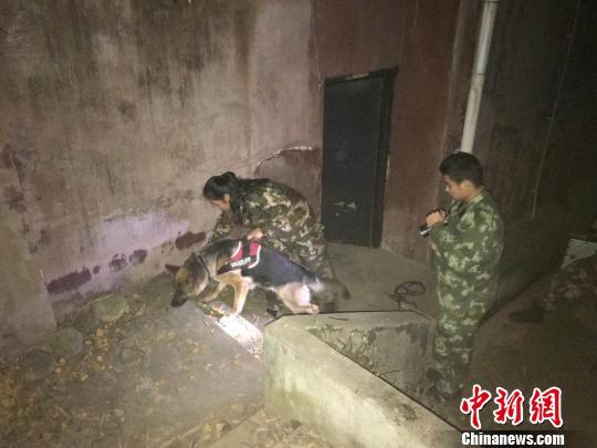 巾幗不讓須眉 美女寵物店長“變身”成為警犬訓(xùn)導(dǎo)員