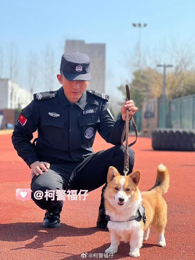 “請叫我福sir！”全國首只“柯警官”最新訓(xùn)練場面大公開