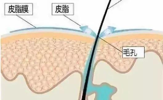 范冰冰現(xiàn)身機場，為了顯瘦包裹“玉足”，網(wǎng)友：看腳就能識美人