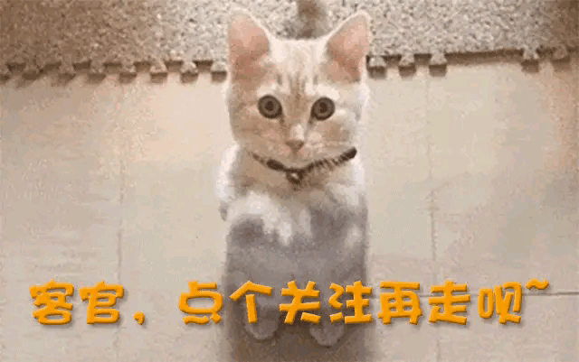 吳艷妮又被罵了，黑絲寫真曝光，明明身材有料，奈何P圖手段過分