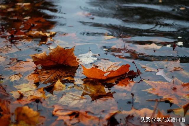 “多穿點(diǎn)”別說“wear more”，這種中式英語不禮貌