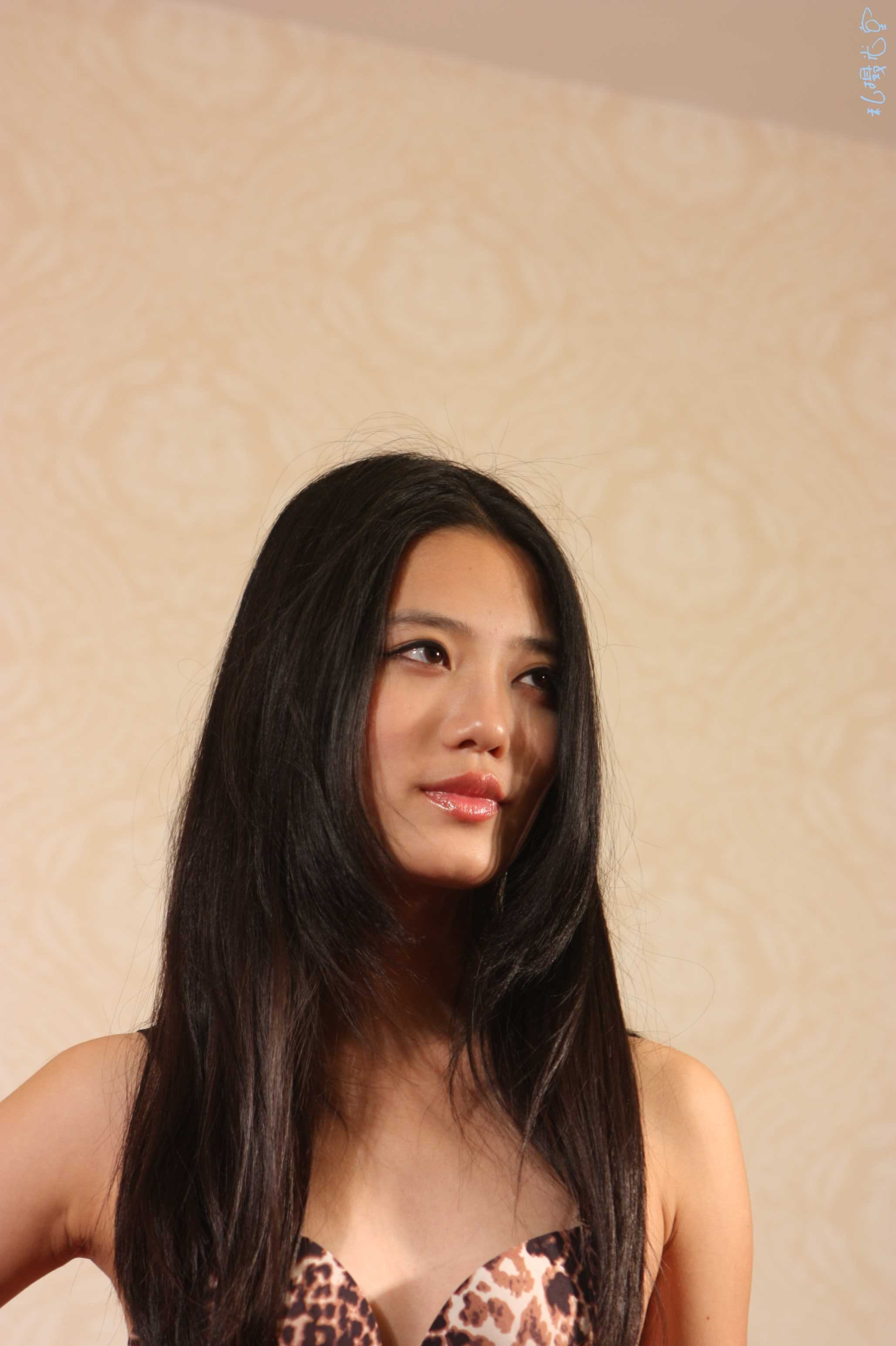 氣質(zhì)不錯的豹紋內(nèi)衣妹子